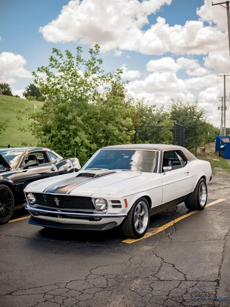 A white mustang is parked in a parking lot next to a black mustang.