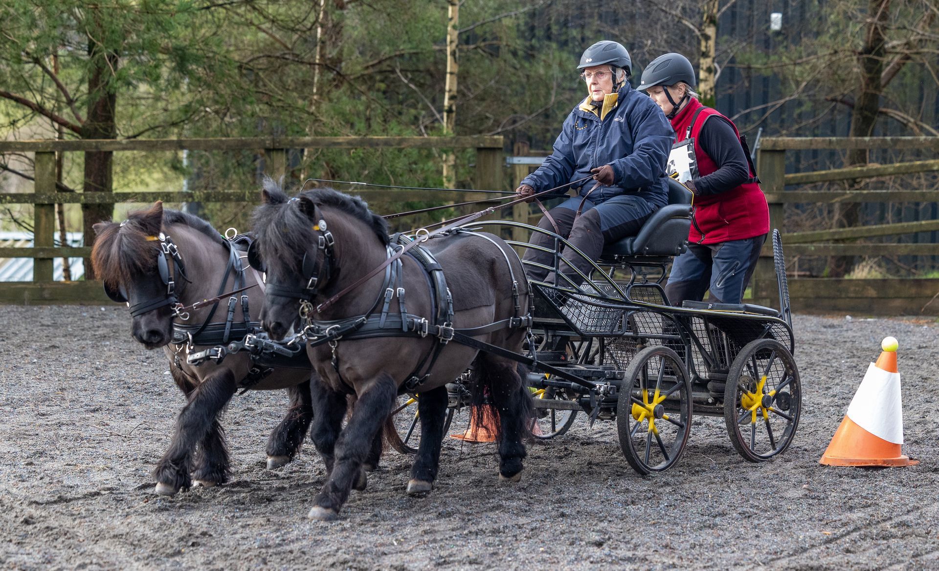 GB POD Carriage driving Training