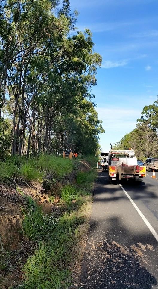 A Truck Is Driving Down A Road Next To Trees — A1 Tree Service in Burnett, QLD
