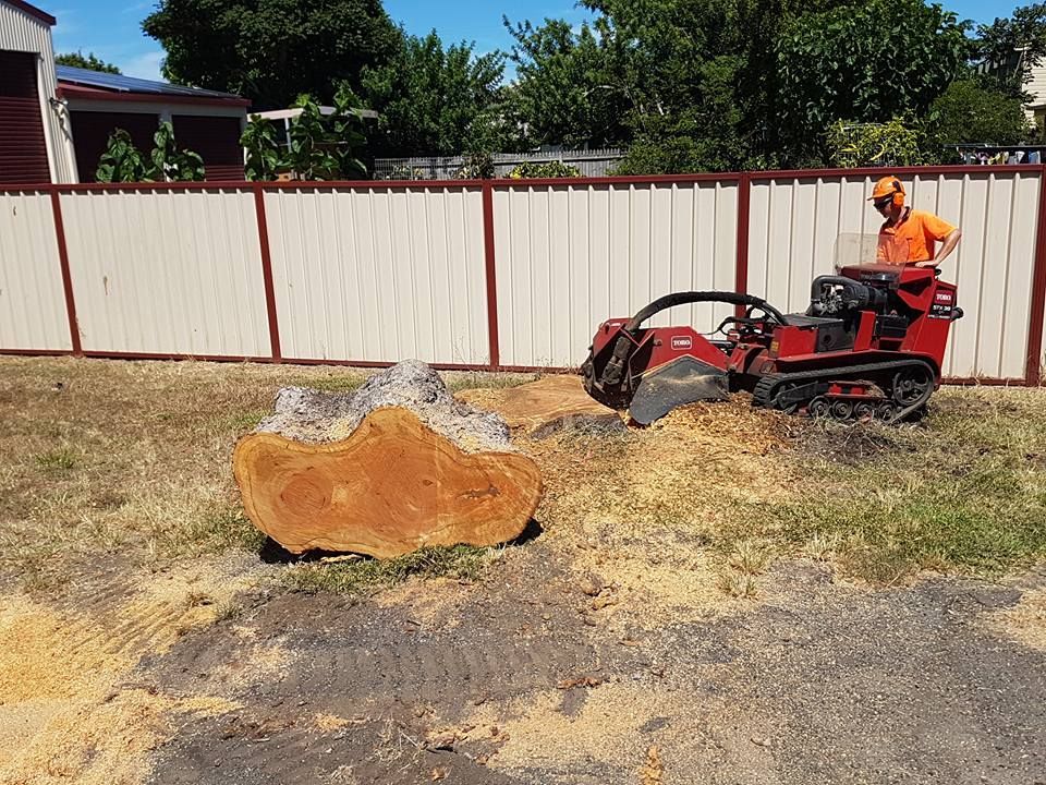 A Man Is Using A Tractor To Remove A Tree Stump — A1 Tree Service in Agnes Waters, QLD