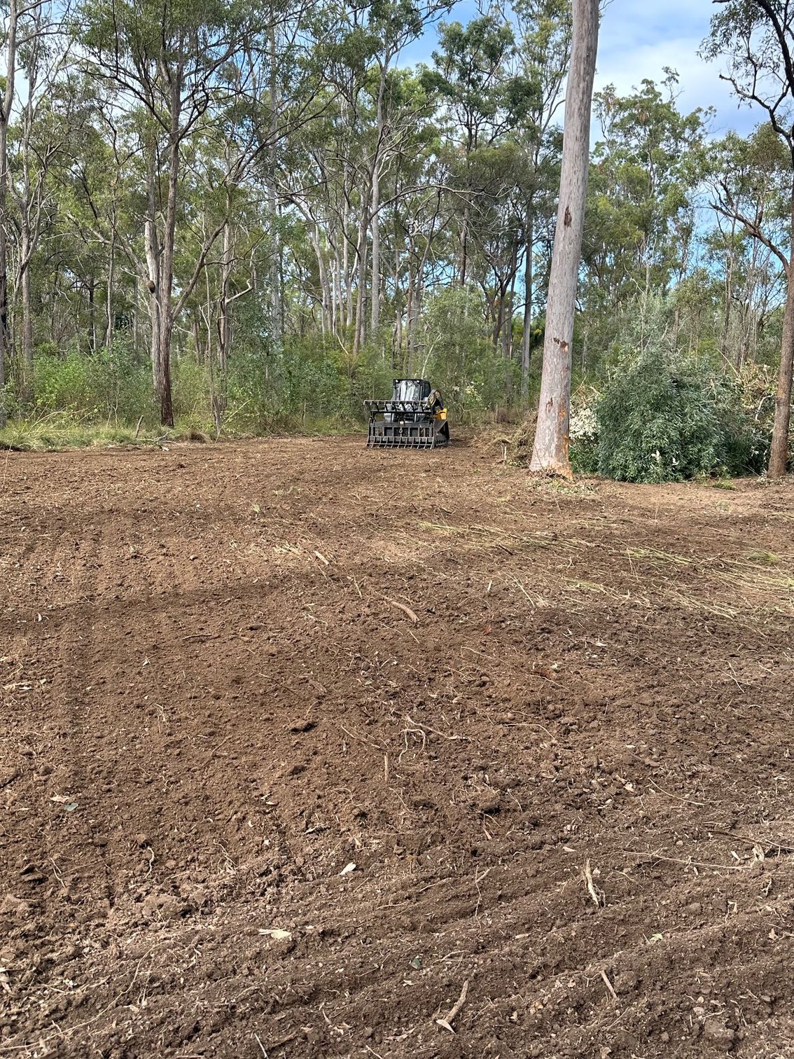 A Yellow Machine Clearing Land  — A1 Tree Service in Kensington, QLD