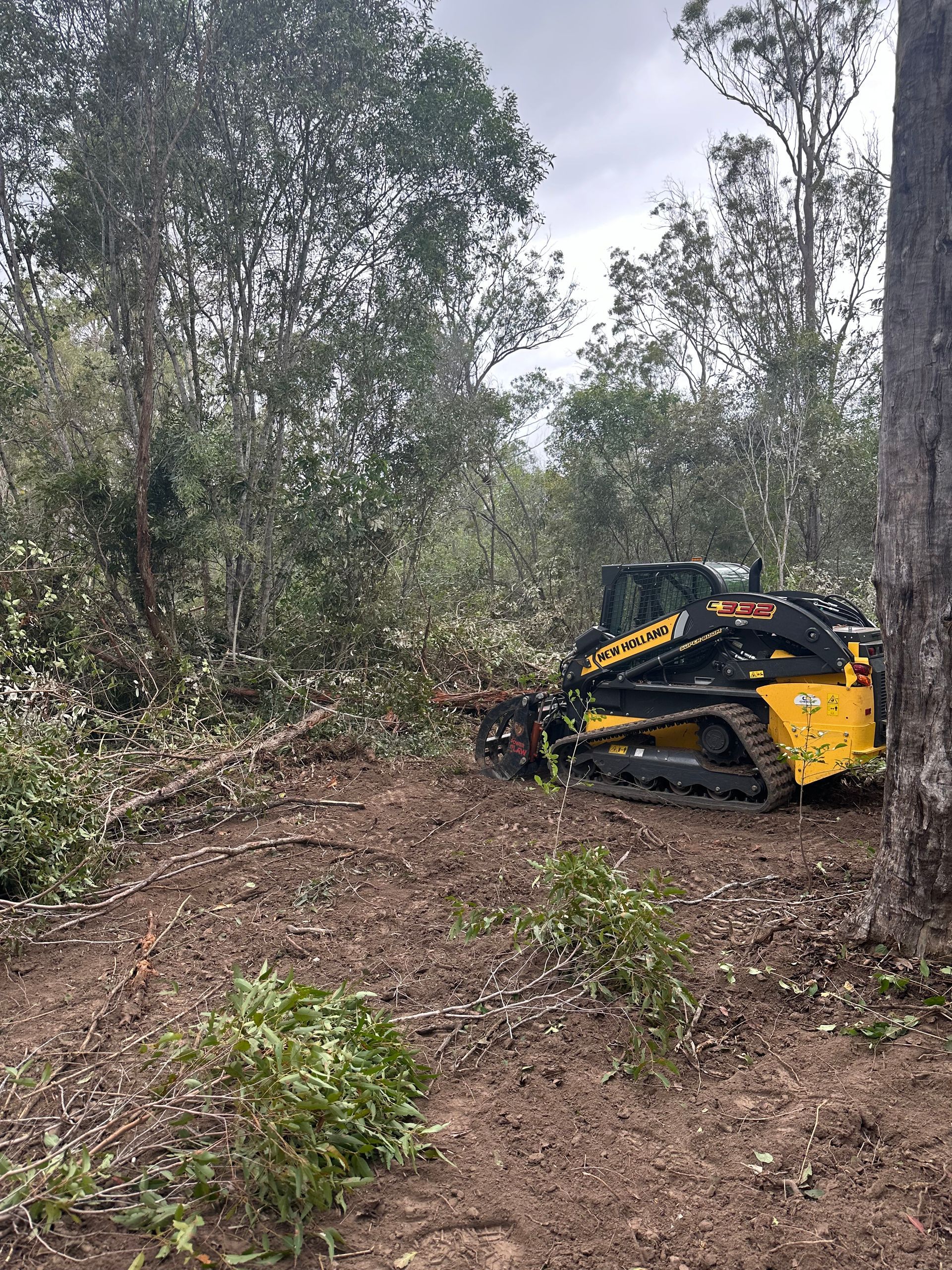A Man is Driving a Land Clearing Machine Through a Forest — A1 Tree Service in Kensington, QLD