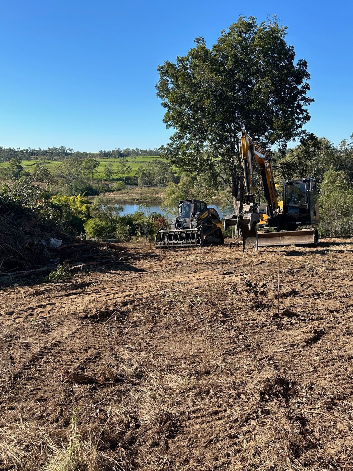 Forrest With Cut Down Trees and Dirt— A1 Tree Service in Kensington, QLD