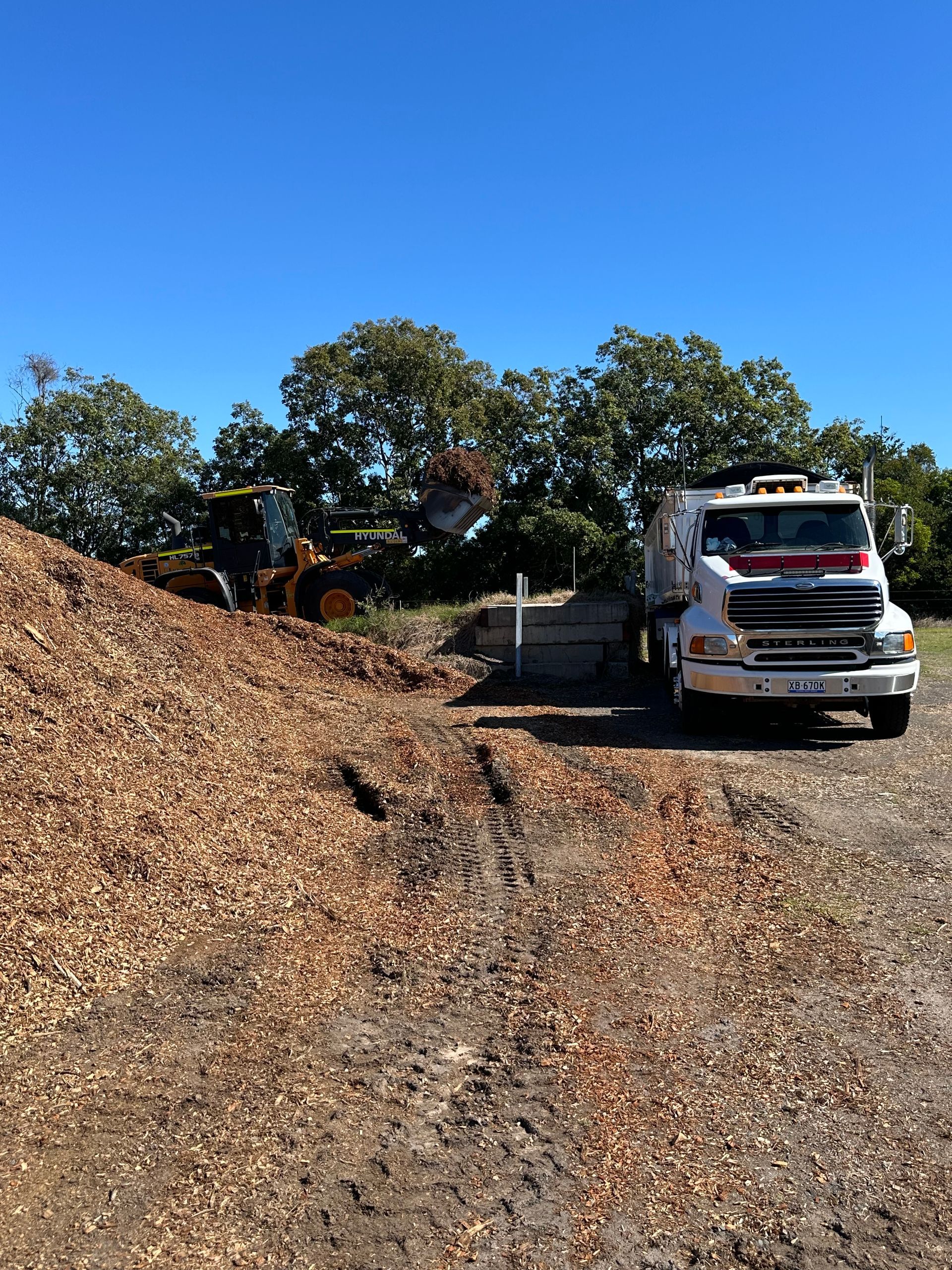 A Yellow Backhoe is Sitting in a Dirt Field Next to a Truck — A1 Tree Service in Gin Gin, QLD