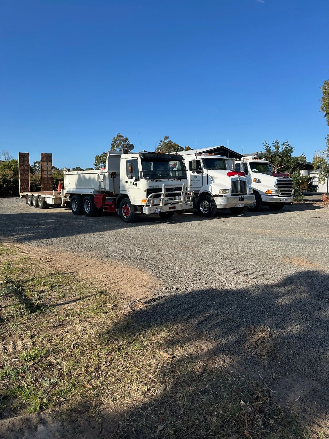 A White Truck is Parked in front of tree — A1 Tree Service in Kensington, QLD