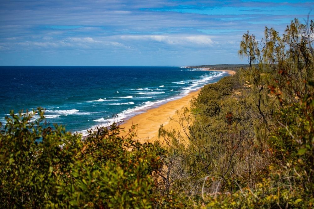 View of Beach from the Top of A Hill  — A1 Tree Service in Agnes Waters, QLD