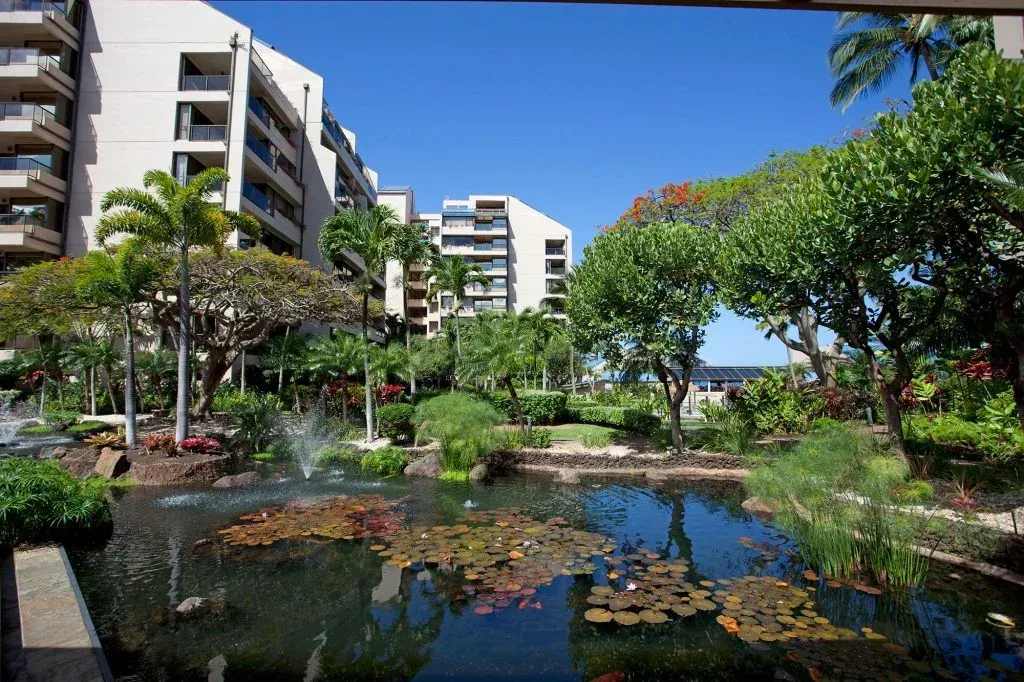 there is a pond in the middle of a park with buildings in the background .