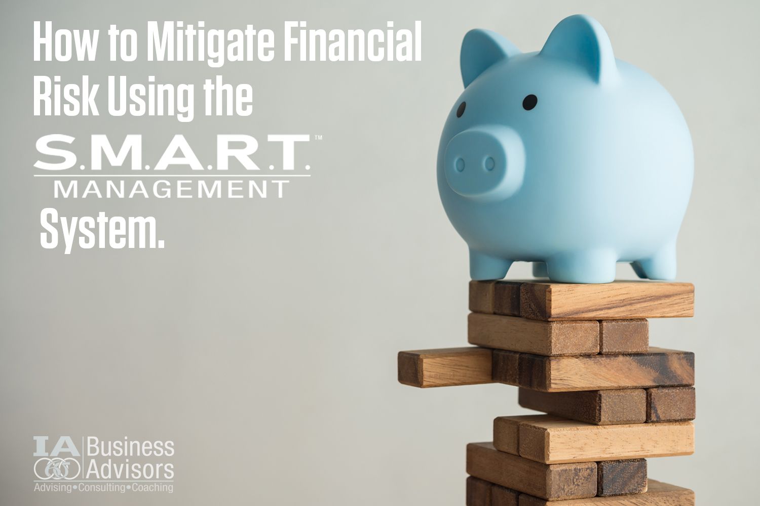 How to Mitigate Financial Risk Using the S.M.A.R.T. Management System