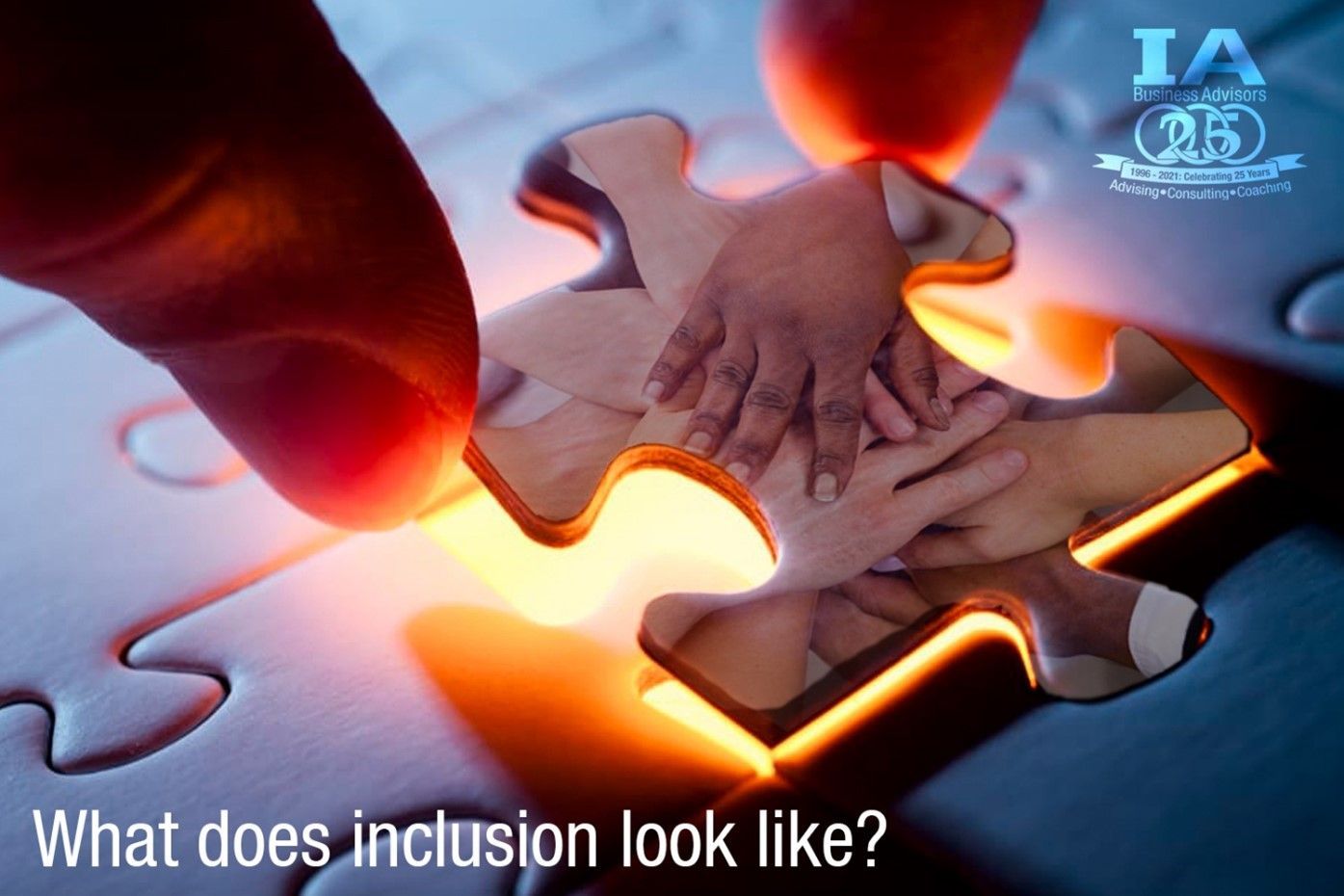 WHAT DOES INCLUSION LOOK LIKE?