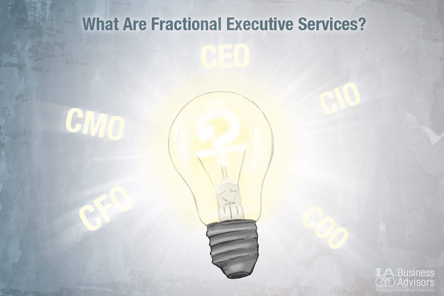 What are fractional executive solutions?
