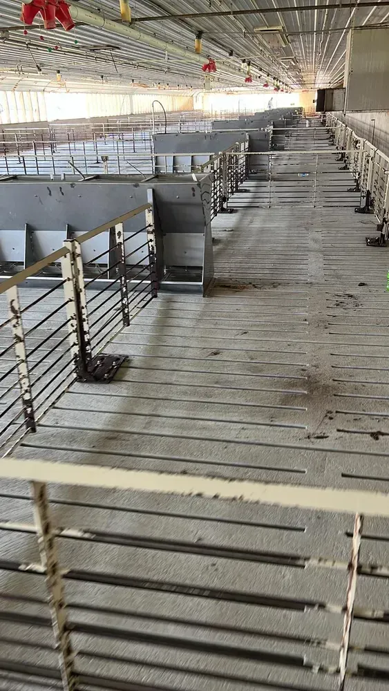 A row of pig pens in an empty pig farm.