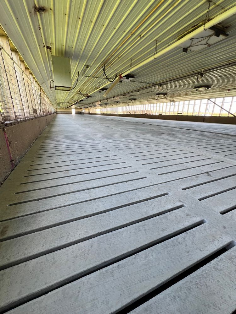 Looking up at the ceiling of a building with a lot of windows.