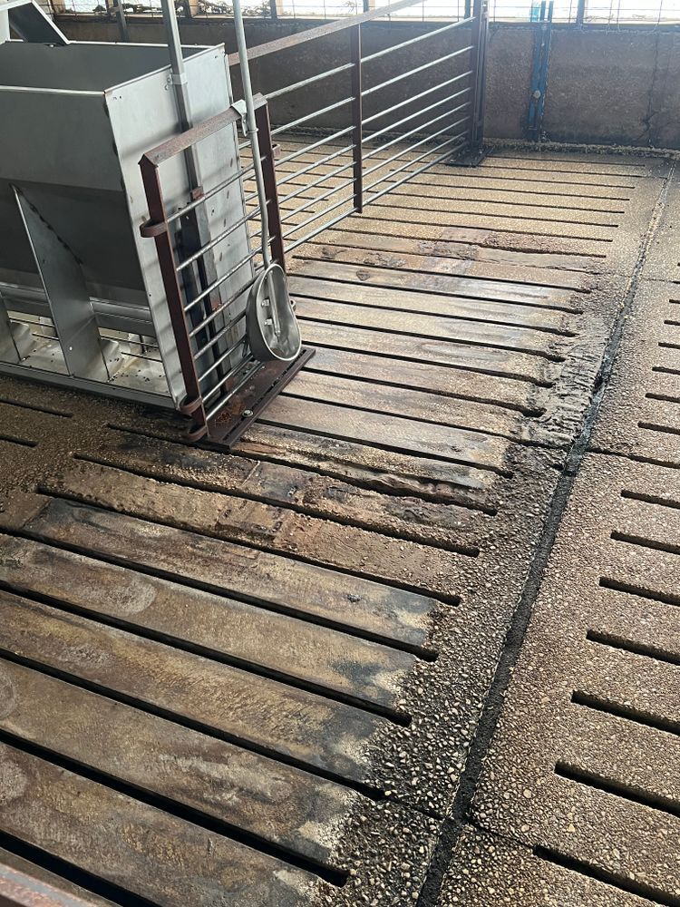 A dirty wooden floor in a barn with a feeder.