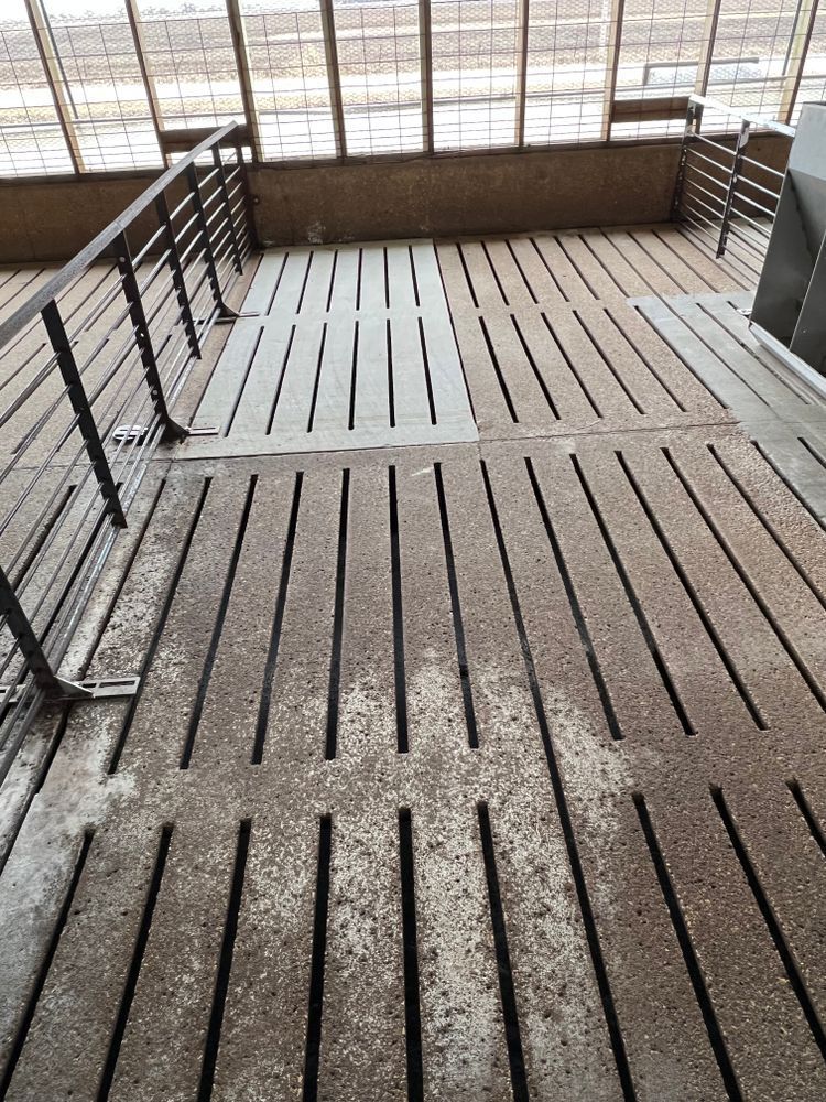 A staircase with a railing and a ramp in a building.