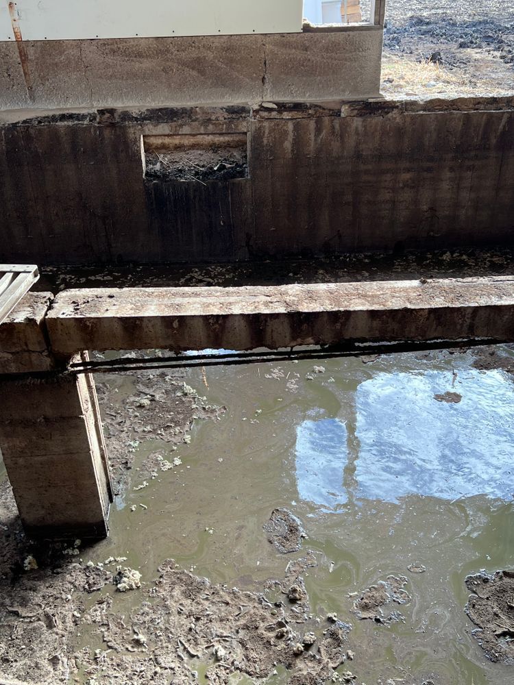 There is a puddle of water under a bridge.