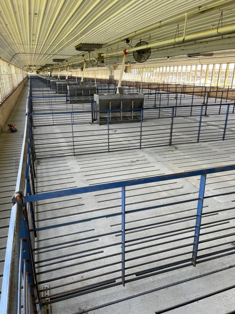 A large empty building with a blue fence and lots of feeders.