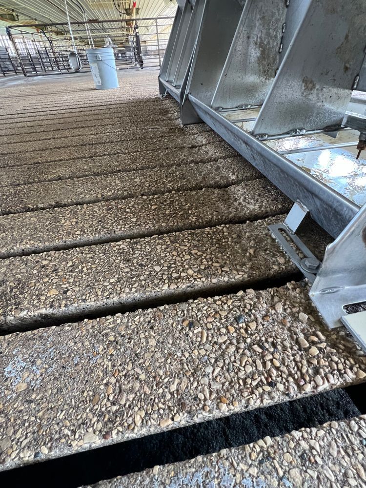 A close up of a dirty floor in a barn.
