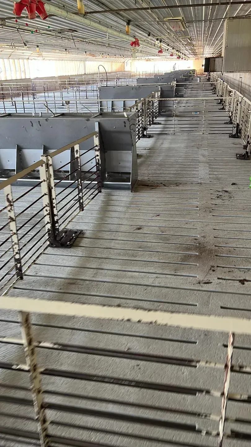 A row of empty pig pens in a barn.