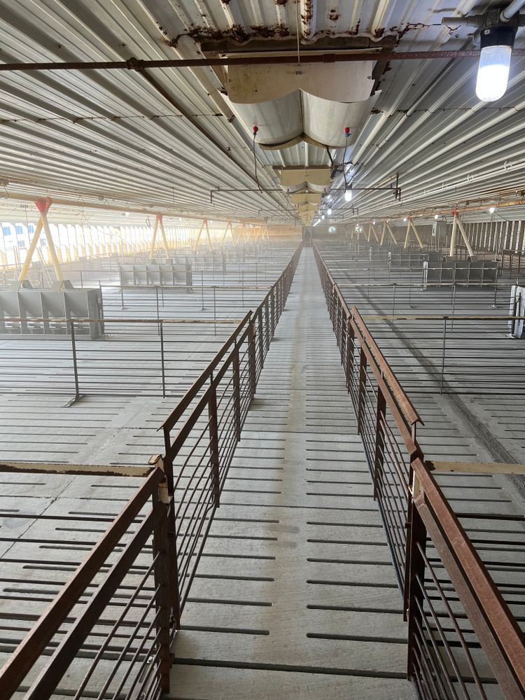 A very long walkway in a building with a railing
