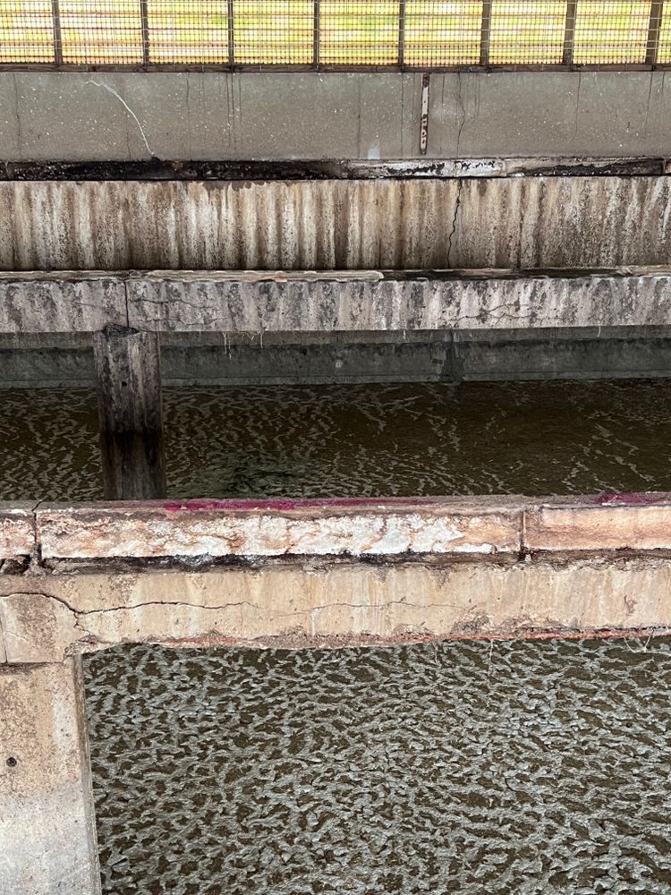 A large body of water is sitting under a bridge.