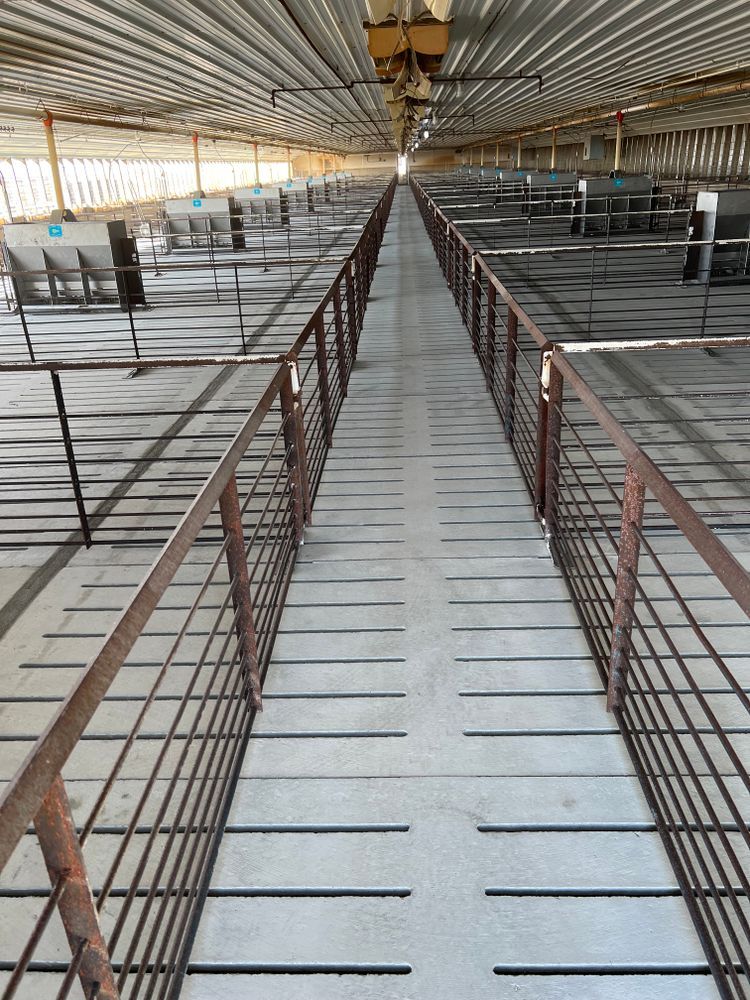 A long hallway in a building with a lot of fences