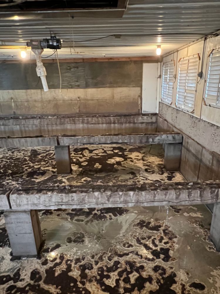 A dirty basement with a lot of water coming out of it.