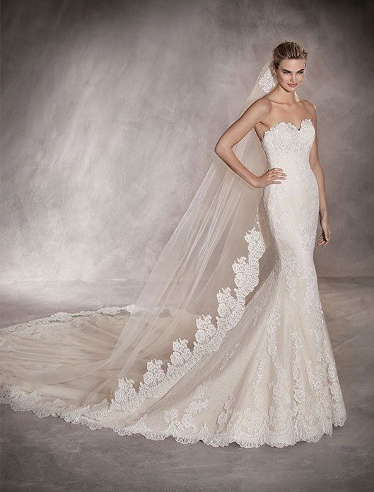 Bride in a white lace mermaid gown with a long veil and train, posing in a studio setting