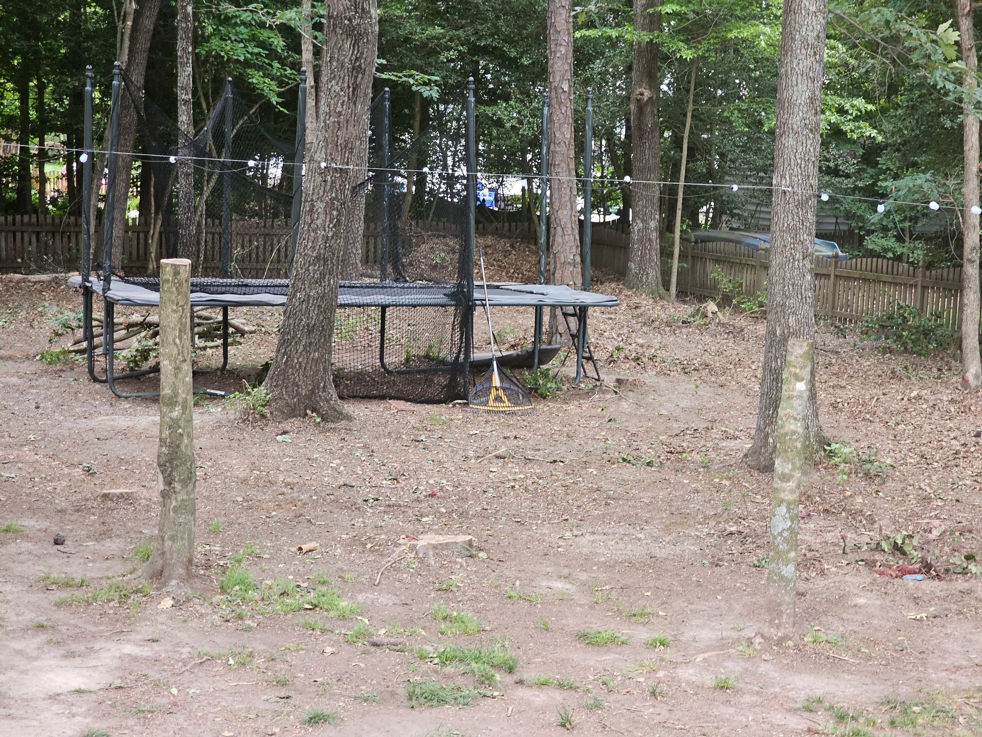 A trampoline is sitting in the middle of a forest