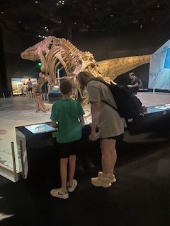 A woman and a boy are looking at a dinosaur skeleton in a museum.