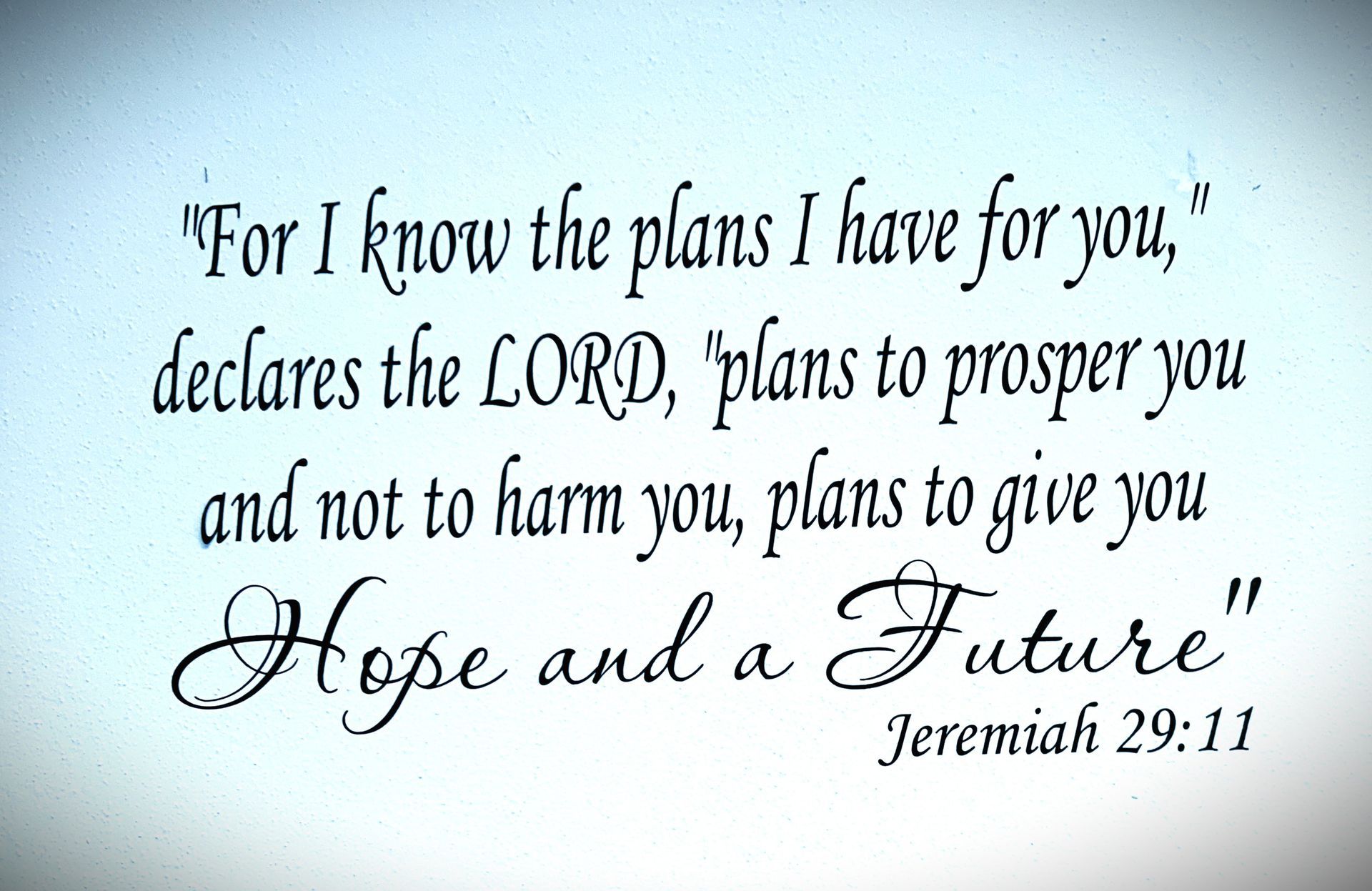 A bible verse that says 