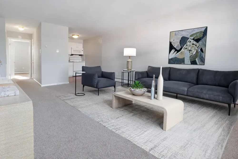 Cozy living room with gray couch and modern decor