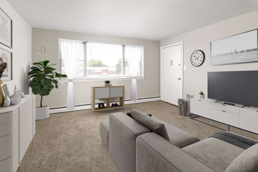 A modern living room featuring a sofa, TV, and decorative plants.