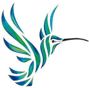 ECOLIMPIO PIEDRAS NEGRAS