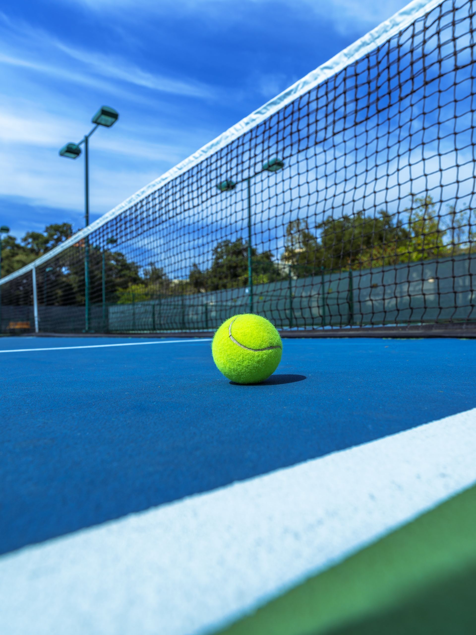 Tennis net and clear blue sky inthe background.