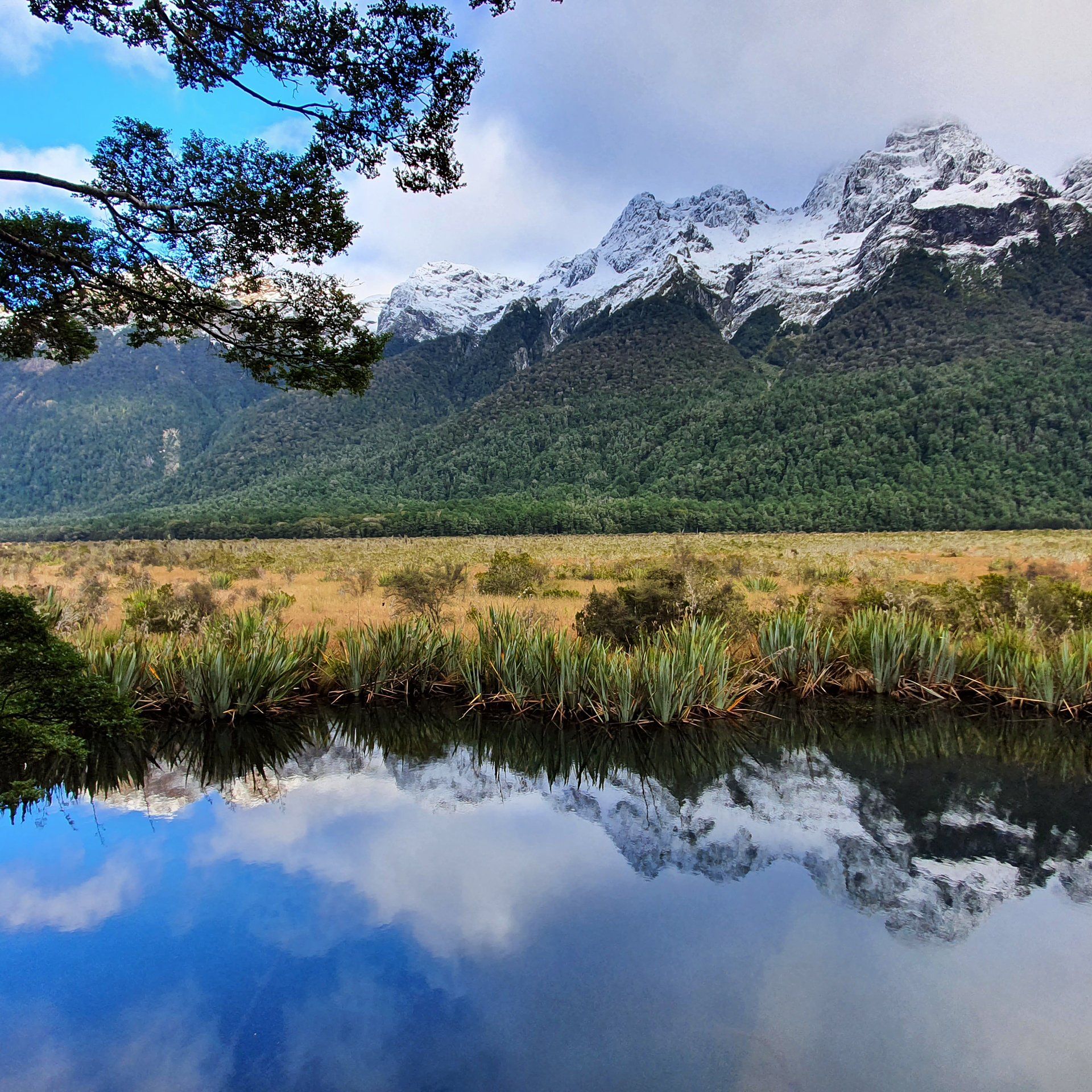 Scenic views from the Sir Edmund Hillary Explorer train and coach tours