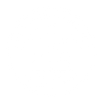 Sir Edmund Hillary Explorer