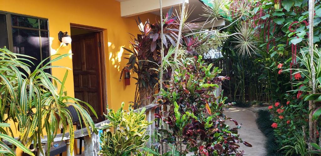 A yellow house surrounded by lots of plants and flowers.