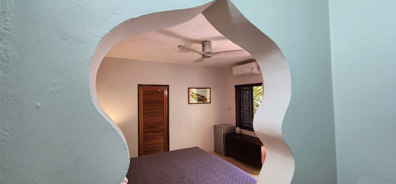 A bedroom with a purple bed and a ceiling fan.