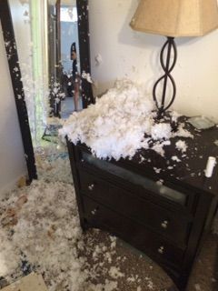 Bedroom with white stuffing scattered across the floor and a dresser beneath a lamp.