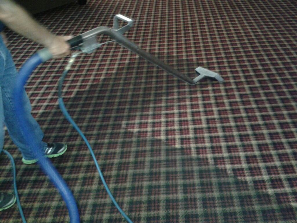 Person using a carpet-cleaning tool on a patterned carpet, with blue hoses attached