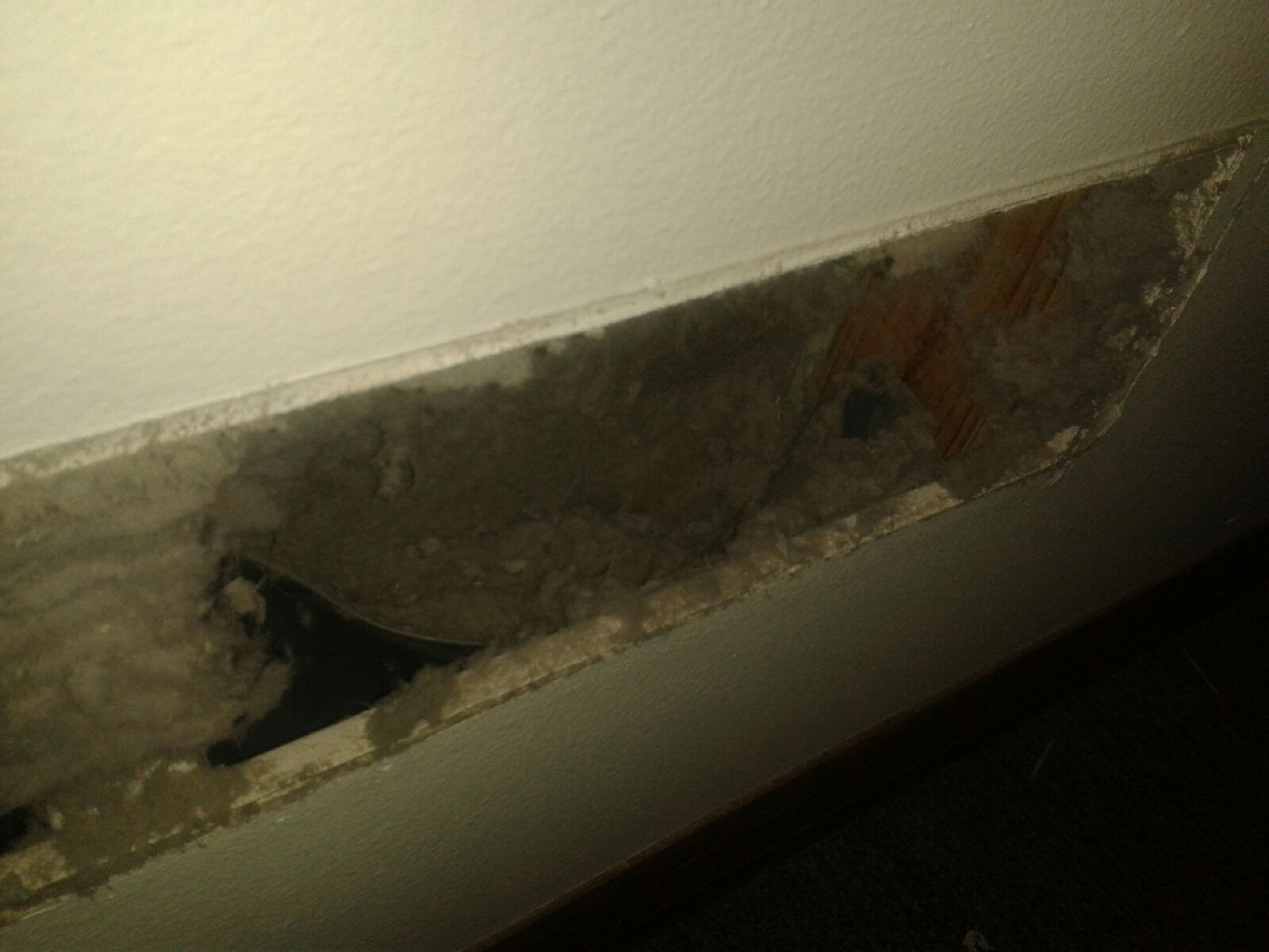 Damaged wall with a large hole exposing dark interior and crumbling plaster, under a white ceiling