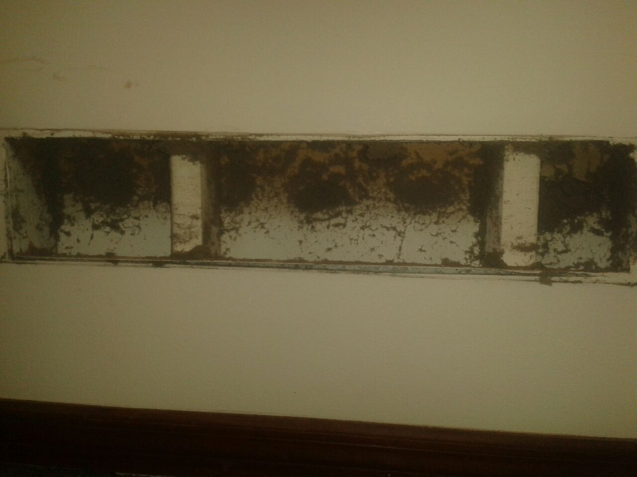 Mold-stained wall panel with peeling paint and dark discoloration above a baseboard.