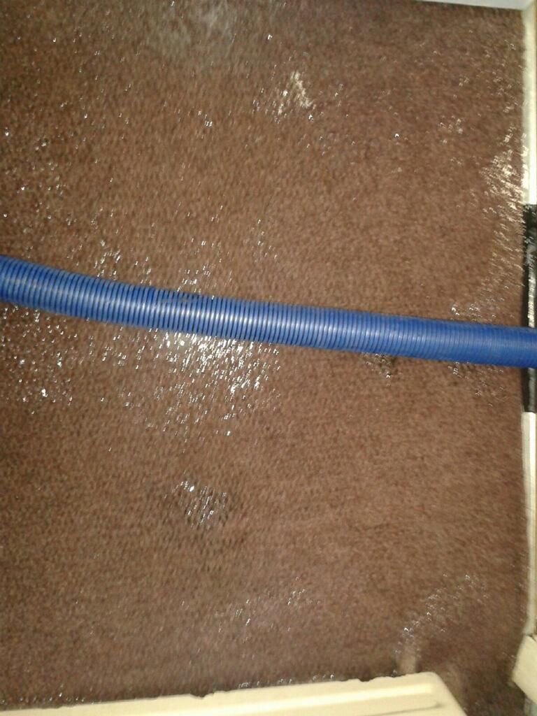 Blue corrugated hose crossing a brown textured surface with white specks