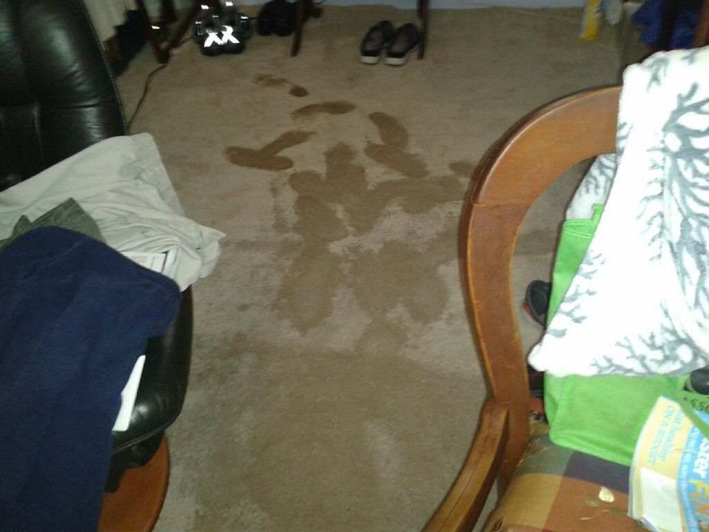 Living room carpet with large water stains and scattered shoes near chairs and a table