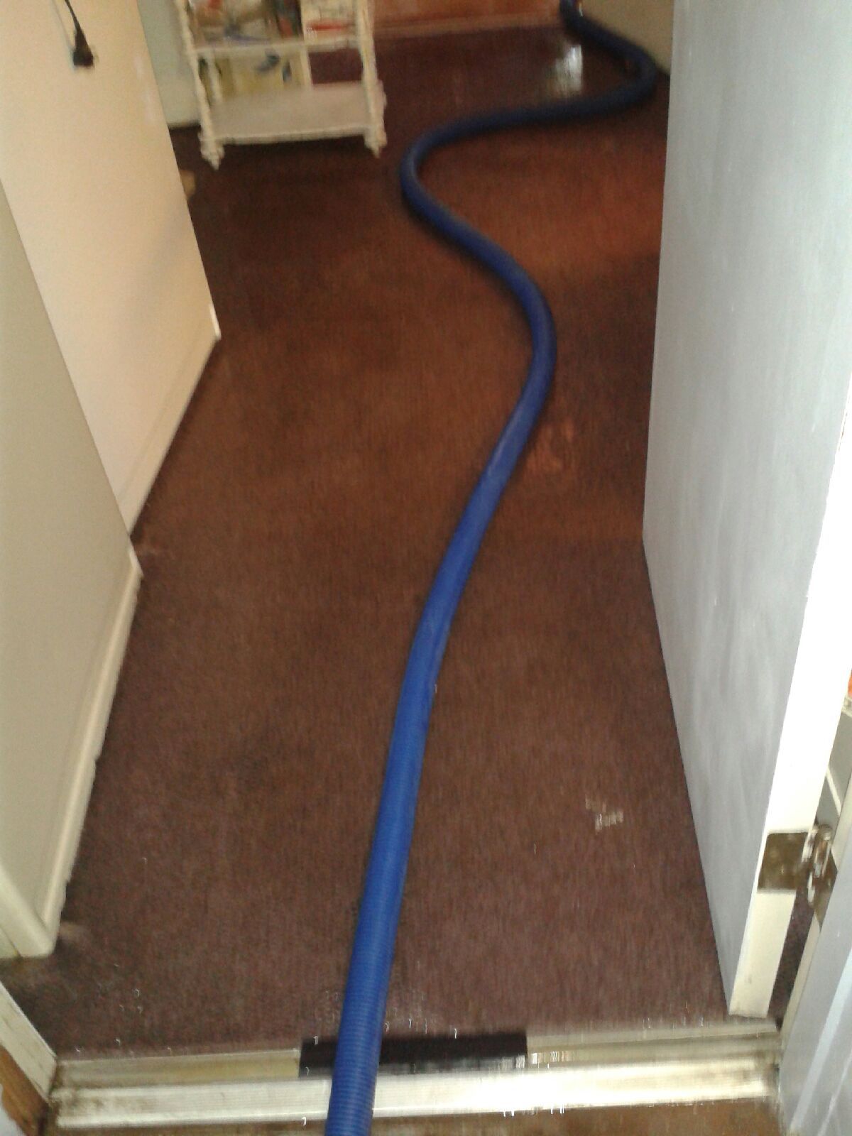 Blue hose stretched through a doorway on a brown carpeted hallway floor.