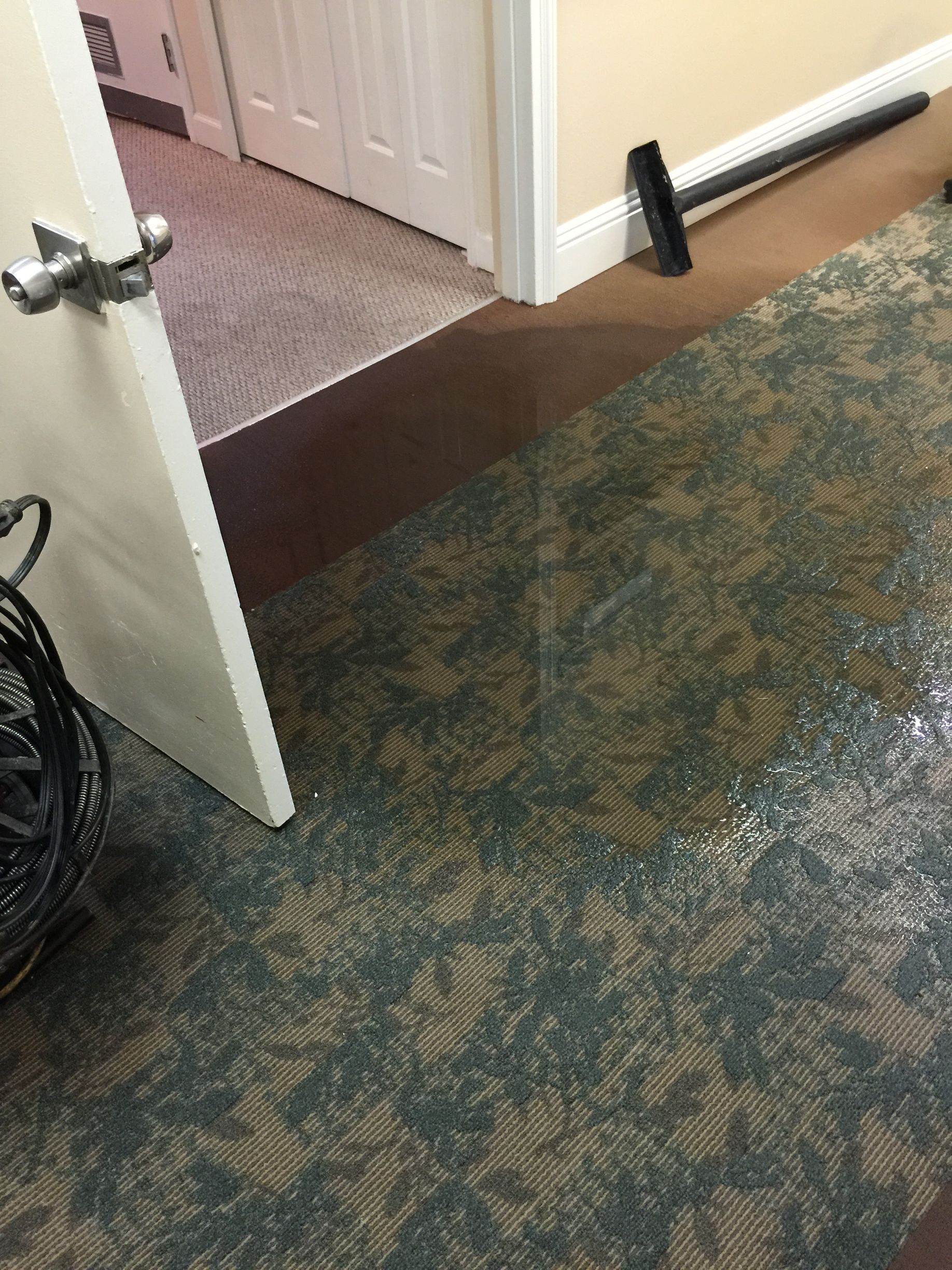 Open doorway with a patterned carpet meeting hardwood floor and a black cane leaning nearby.