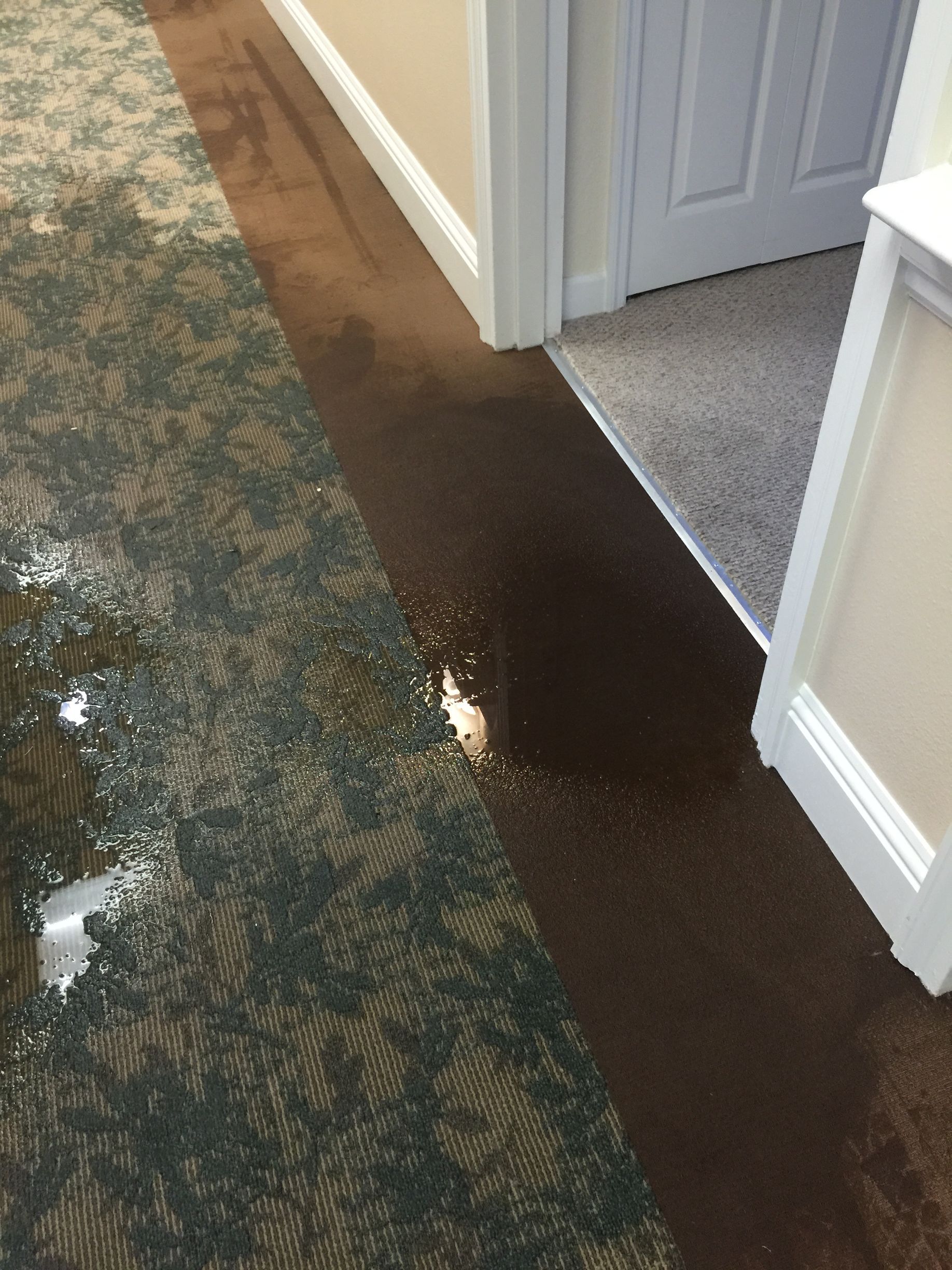 Water pooling on a hallway floor beside carpet and a doorway, creating a wet, reflective strip