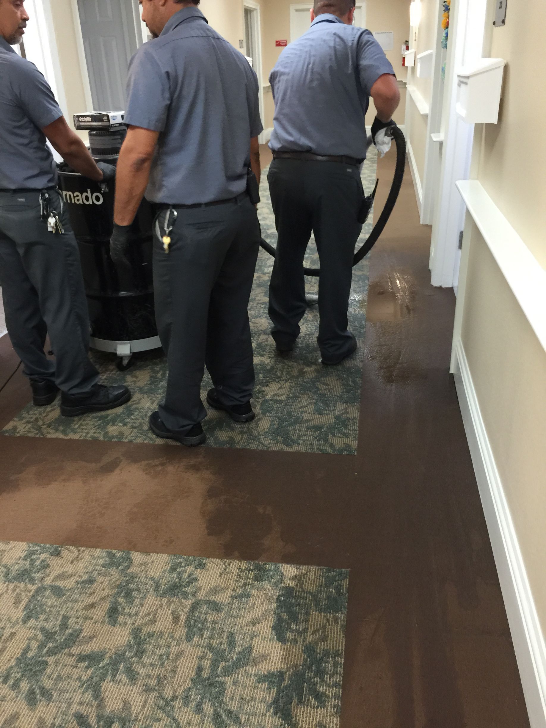 Three police officers use a hose to clean a hallway carpet in a building.