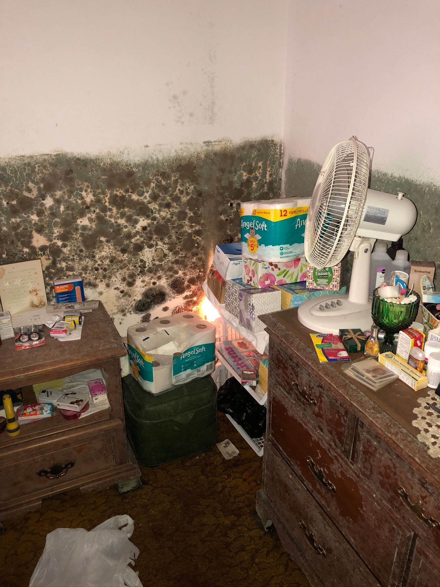 Cluttered bedroom corner with moldy, stained walls, dresser, shelves, and miscellaneous items on the floor