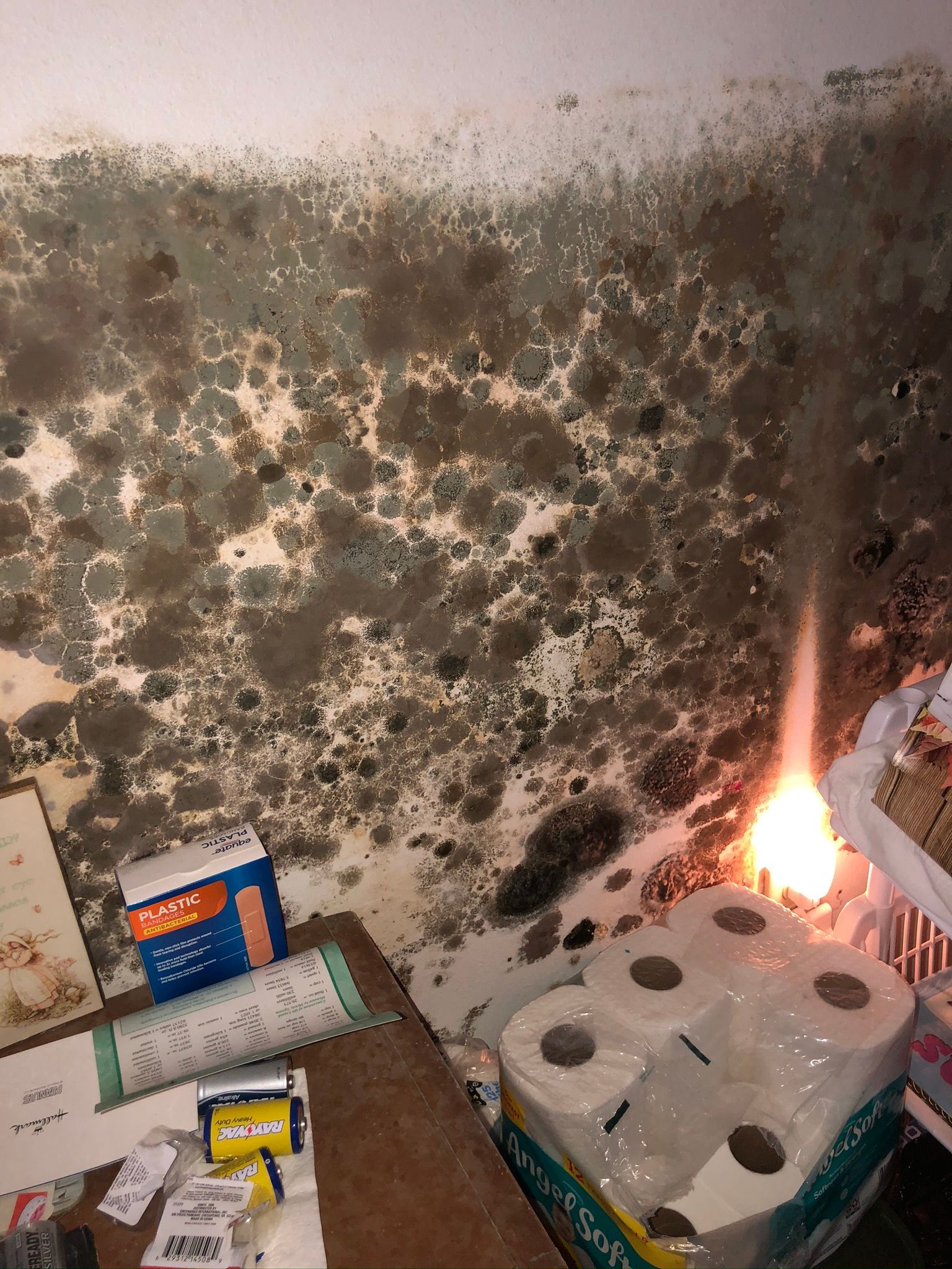 Mold-covered wall with a small fire burning beside stacked paper towels and cleaning supplies
